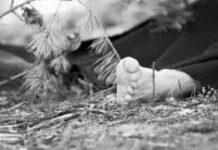 भिरमाथिबाट खसेको ढुङ्गा लागेर मृत्यु