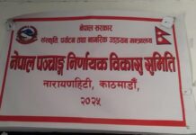 स्वीकृति नलिइ भित्तेपात्रो छापे एक लाखसम्म जरिवाना