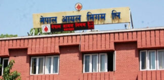 ग्यासको आयात निरन्तर छ, अनावश्यक सञ्चिती नगरौँ : निगम