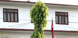 कृषि विषयको अनुसन्धानार्थ पाँच लाख सहयोग