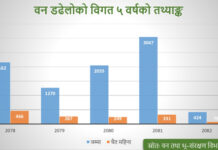 औसतभन्दा बढी वर्षा भएकाले वन डढेलोका घटनामा गिरावट