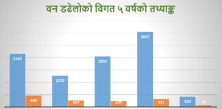 औसतभन्दा बढी वर्षा भएकाले वन डढेलोका घटनामा गिरावट