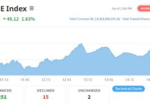 नेप्सेमा ४५ अङ्कको सुधार