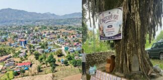 रौनक हराएको दसैँ