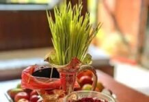 आश्विन शुक्ल पूर्णिमा : नवदुर्गाको प्रसाद र आशीर्वाद थाप्ने आज अन्तिम दिन