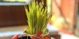 आश्विन शुक्ल पूर्णिमा : नवदुर्गाको प्रसाद र आशीर्वाद थाप्ने आज अन्तिम दिन